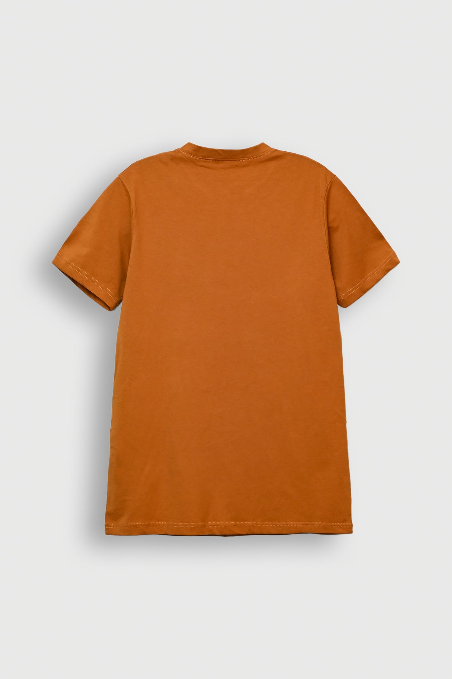 MEN BROWN T-SHIRT