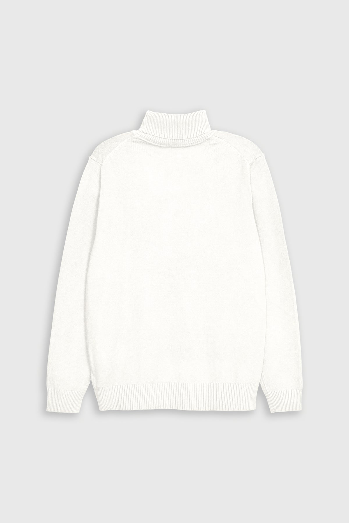 MEN TURTLE NECK CREAM SWEATER Reality