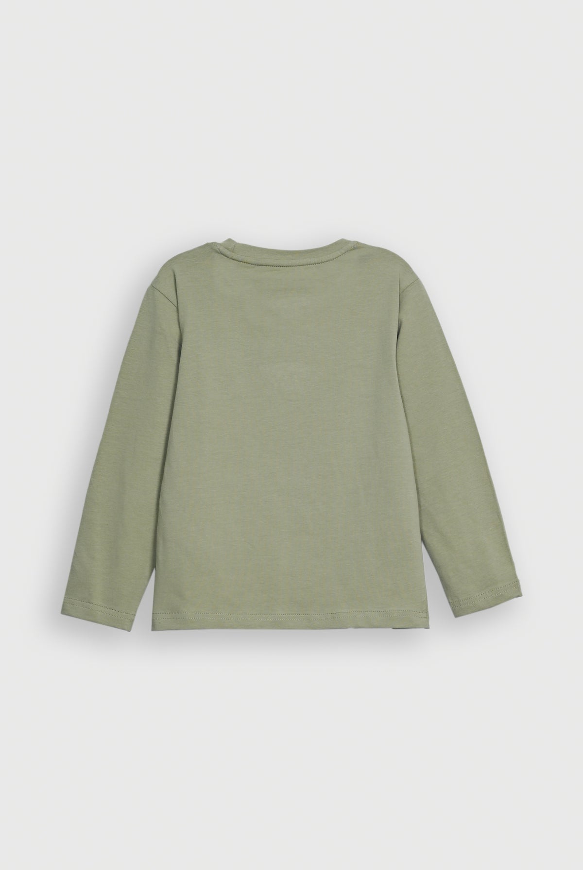 DINO GRAPHIC LIGHT GREEN TEE Reality