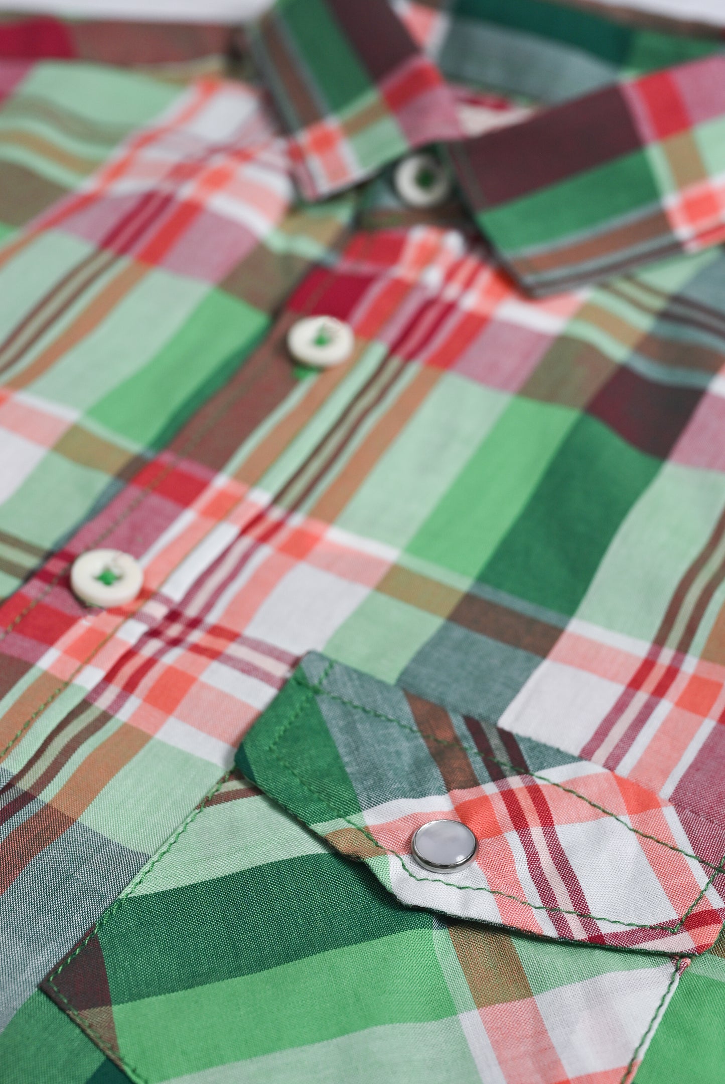 CHECKERD PARROT SHIRT Reality