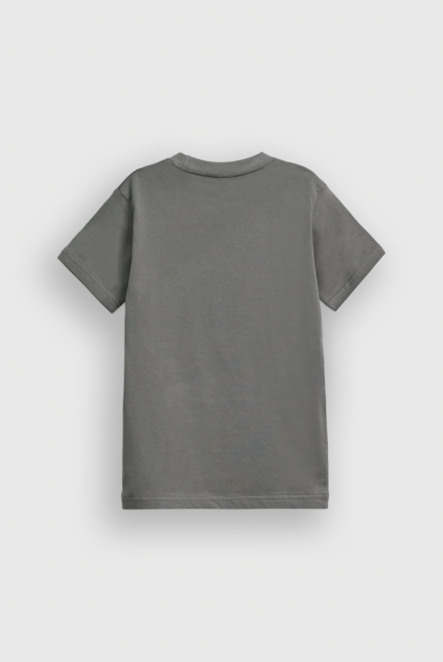 Boys Gray T-SHIRT Reality