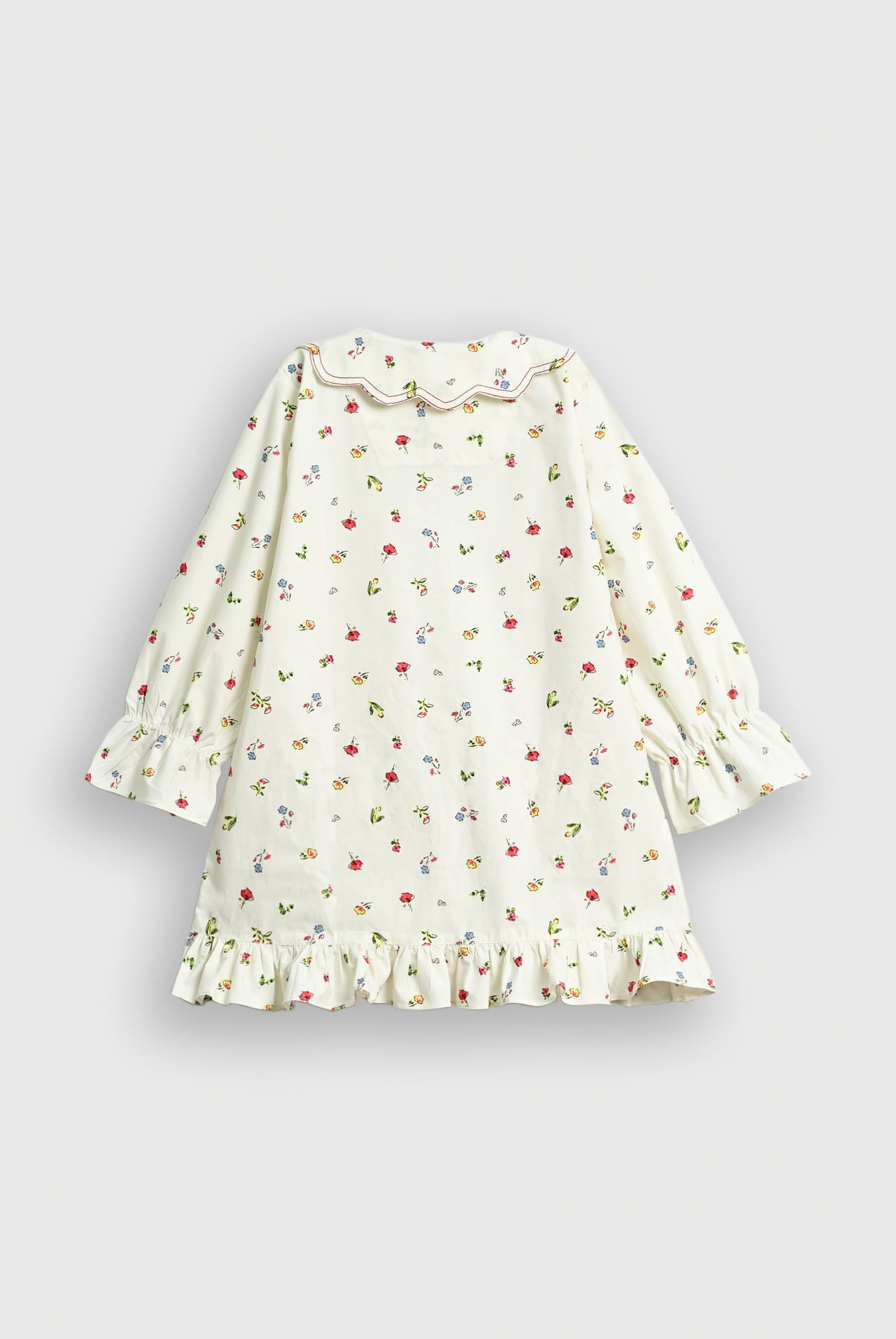 POCKET PAWS AND PETALS Reality