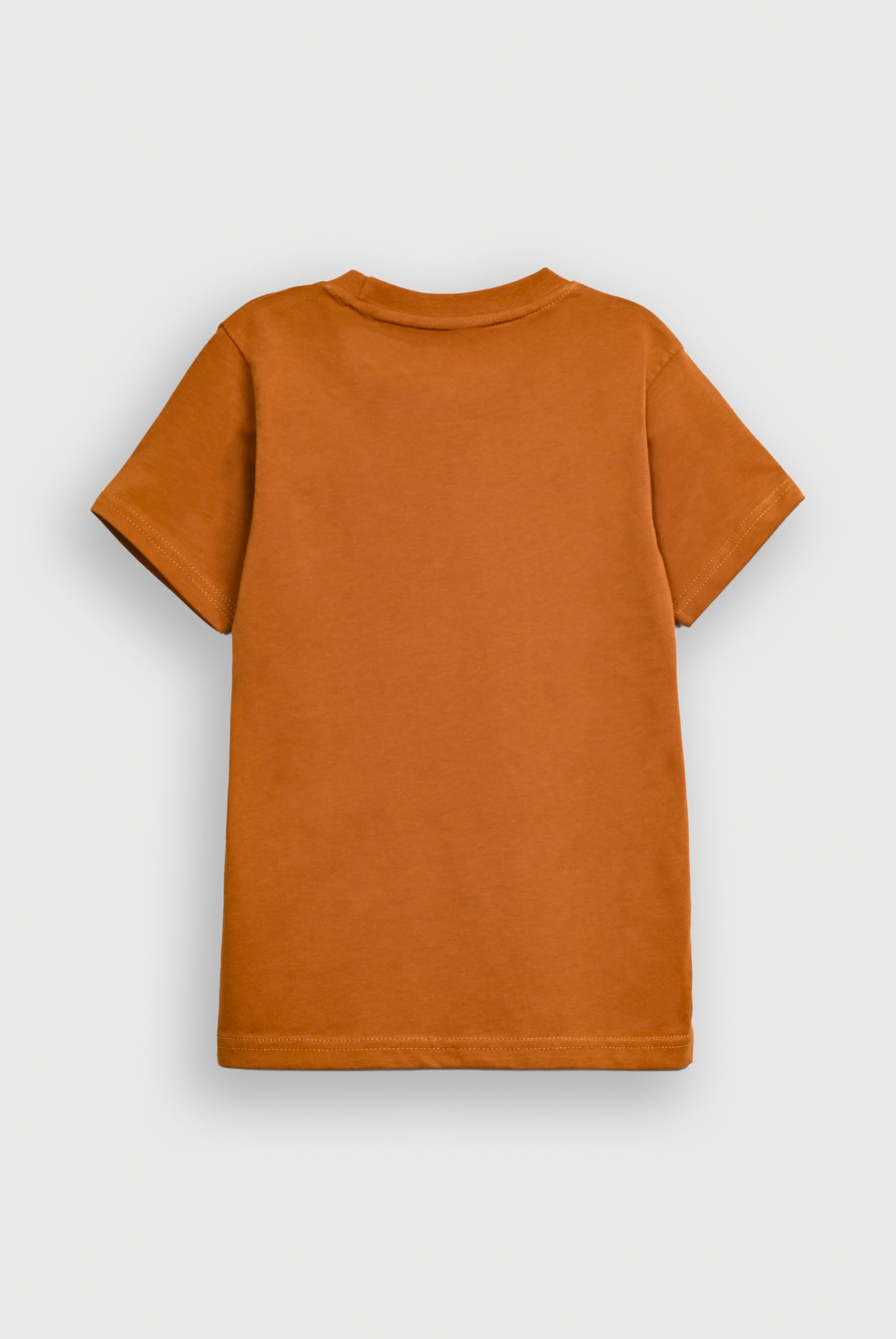 Boys BROWN T-SHIRT Reality