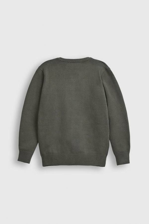 Olive Green Kids' Knit Cardigan with Fun Cartoon Dog Designs – Button-Up Style Reality