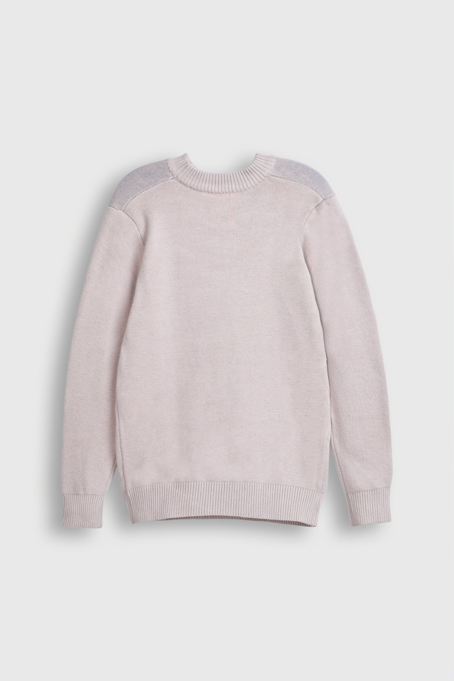 Beige Sweater with Blue Bird Graphic Reality