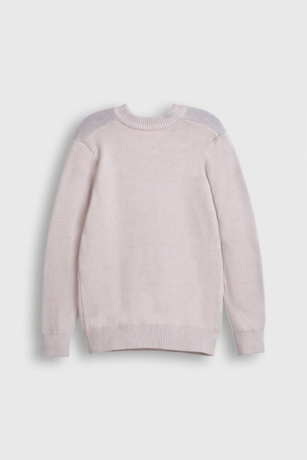 Beige Sweater with Blue Bird Graphic Reality