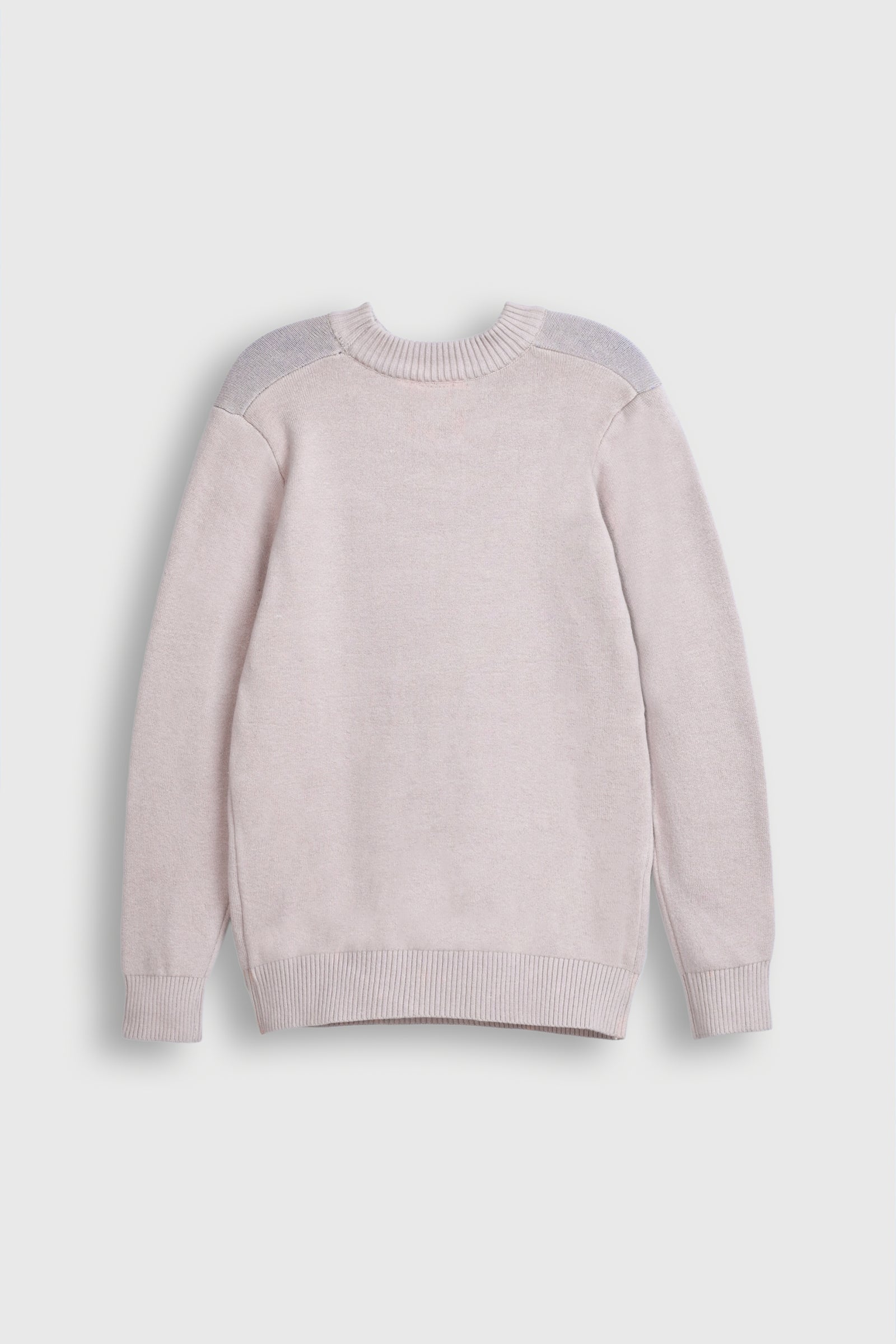 Beige Sweater with Blue Bird Graphic Reality