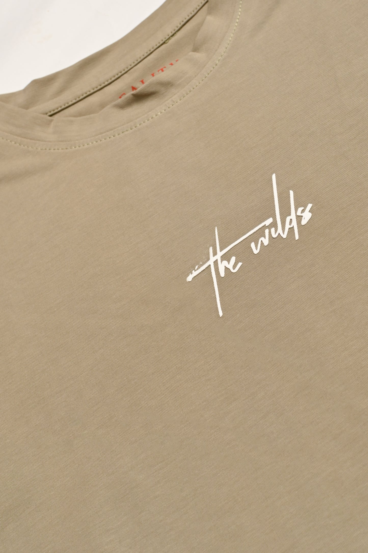 men THE WILD GRAPHIC LIGHT GREEN TEE Reality