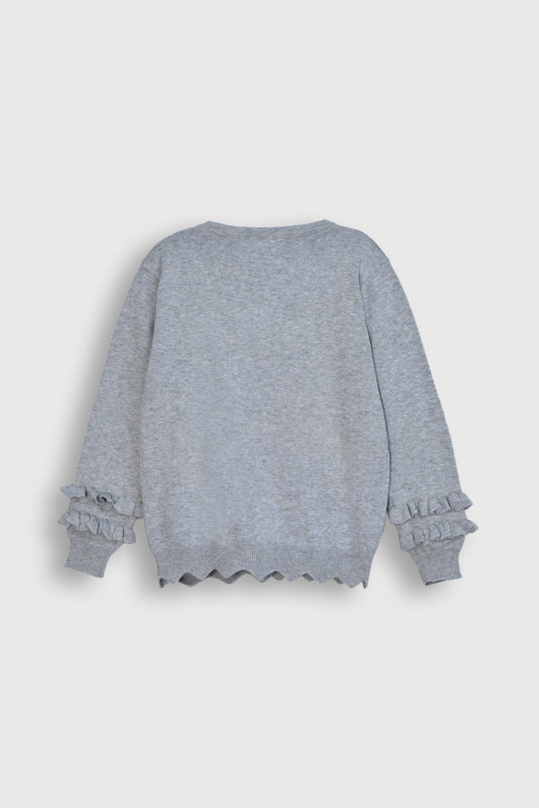 Cute Gray Sweater with Hedgehog Detail Reality