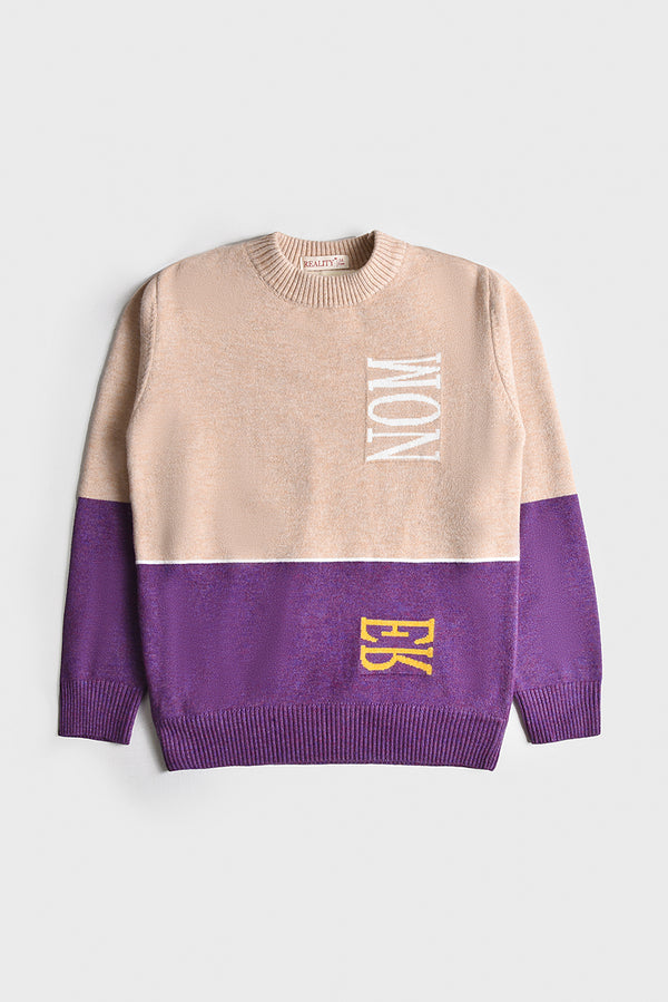 Imported Premium Boys Sweater