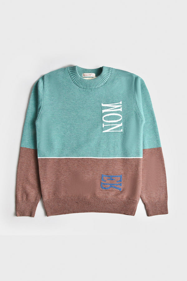 Imported Premium Boys Sweater