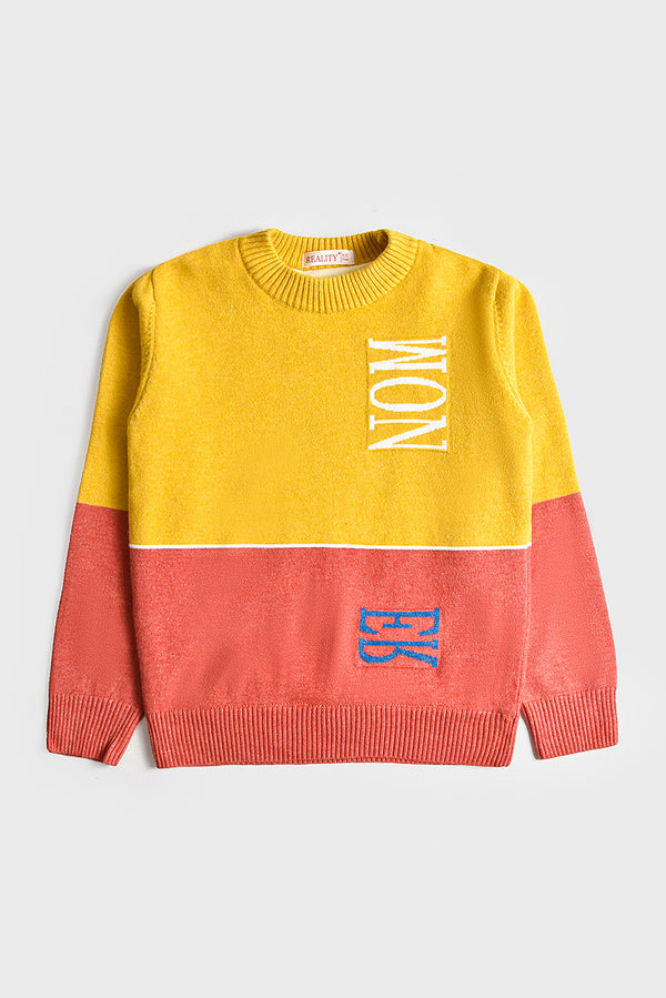 Imported Premium Boys Sweater