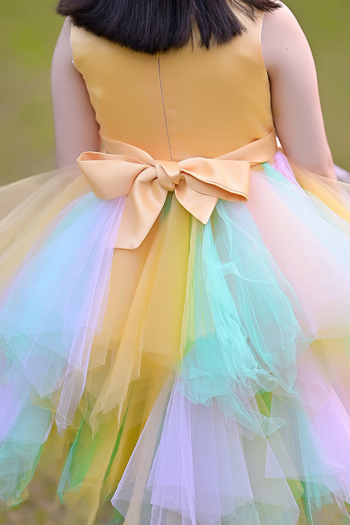 Blossom Fairy Frock Reality
