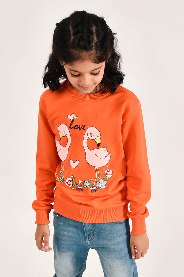 Love Birds Graphic Sweatshirt