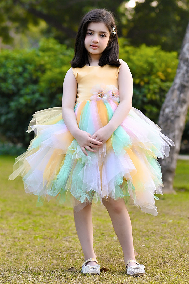Blossom Fairy Frock Reality