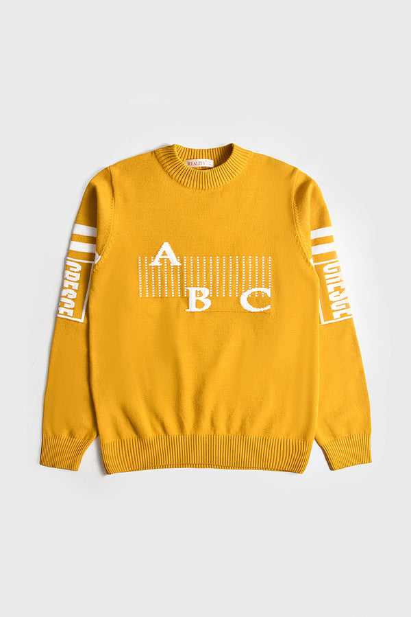 Imported Premium Boys Sweater