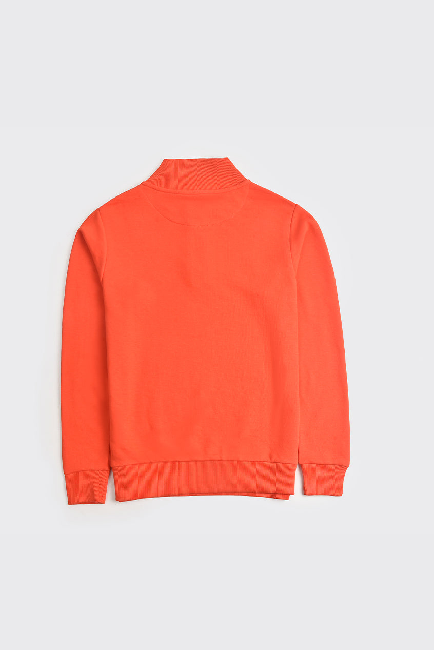 Men Half Zipper Pullover REALITY