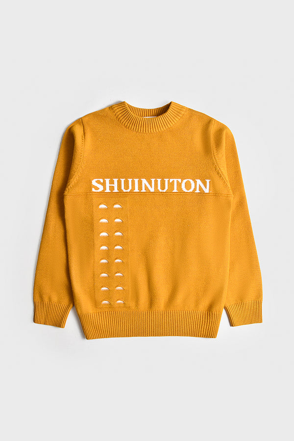 Imported Premium Boys Sweater