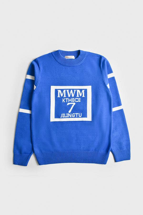 Imported Premium Boys Sweater