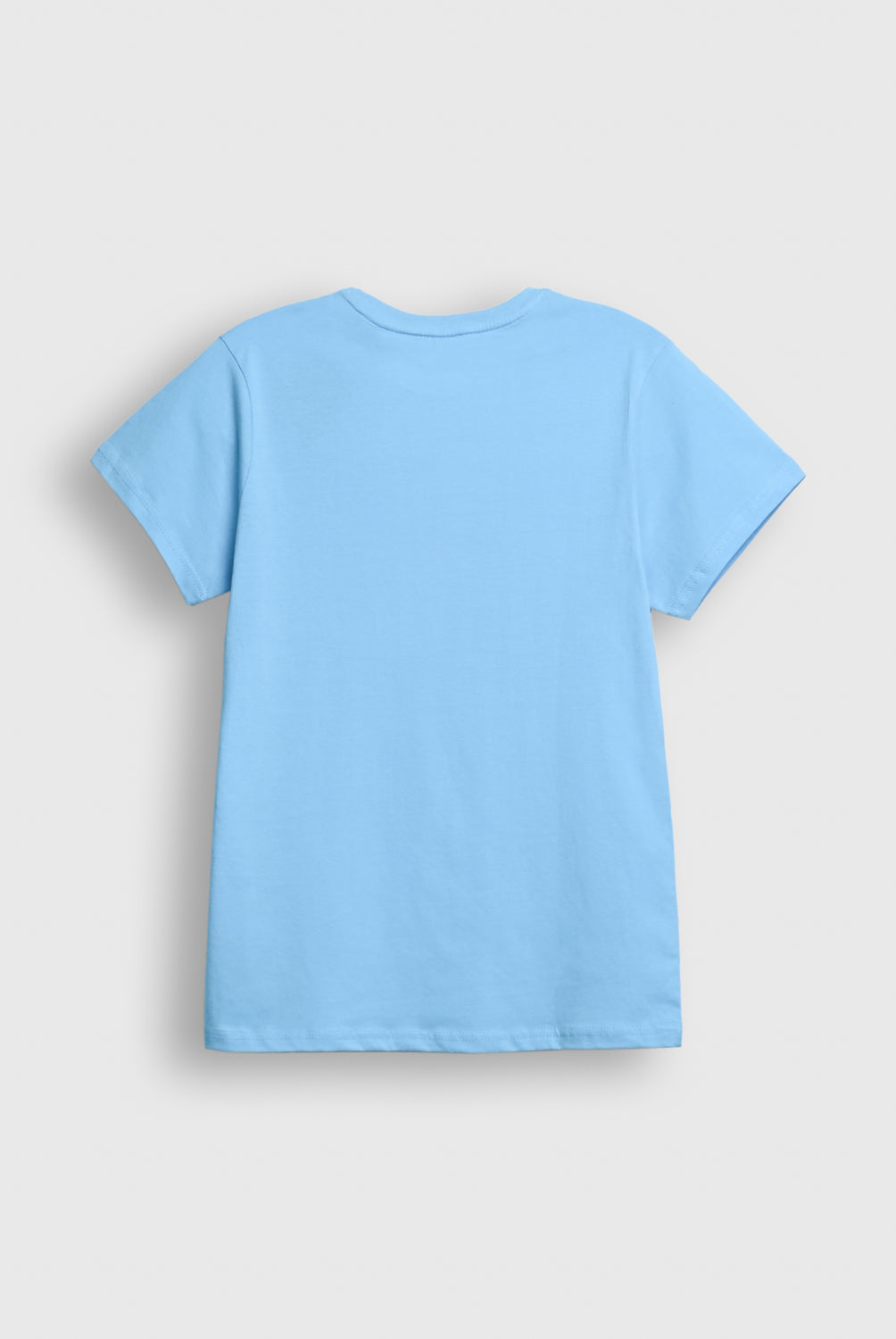 Red Stripe Graphic T- Shirt Reality