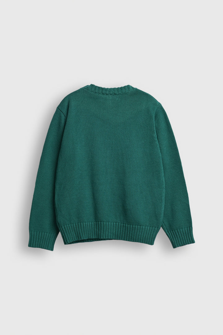 Beileidi Cozy Knit Pullover – Forest Green Reality