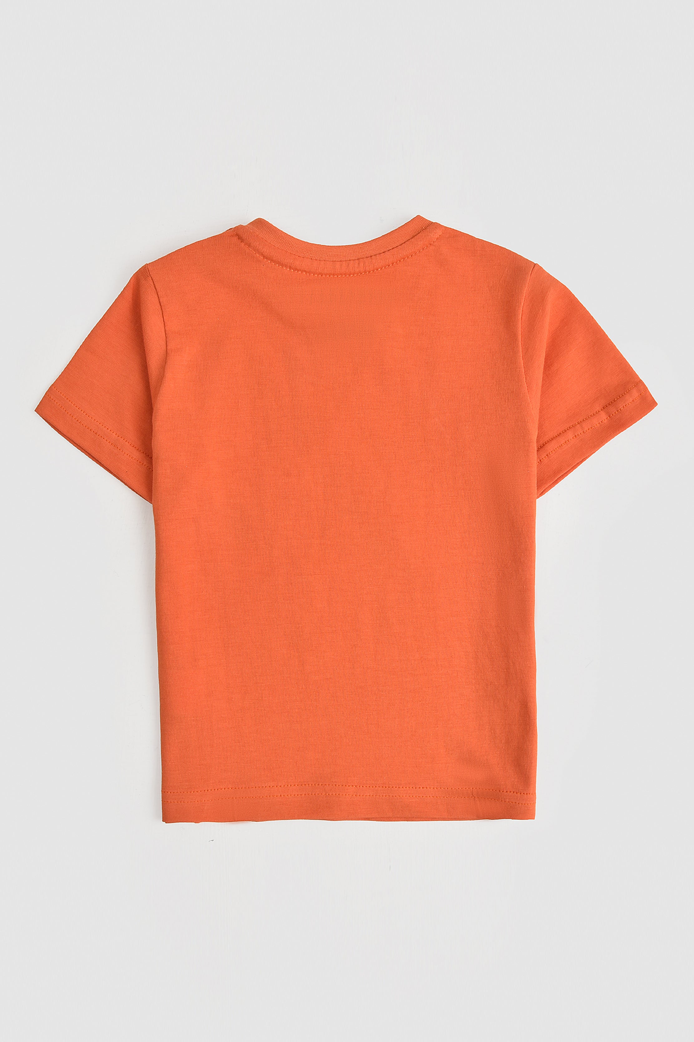 Avengers Assemble Rust T-Shirt Reality