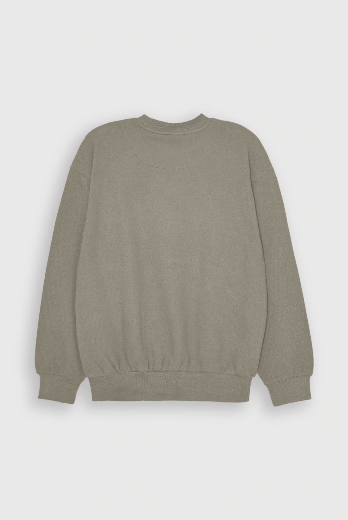 MEN TEXTURED LIGHT GREEN SWEATSHIRT