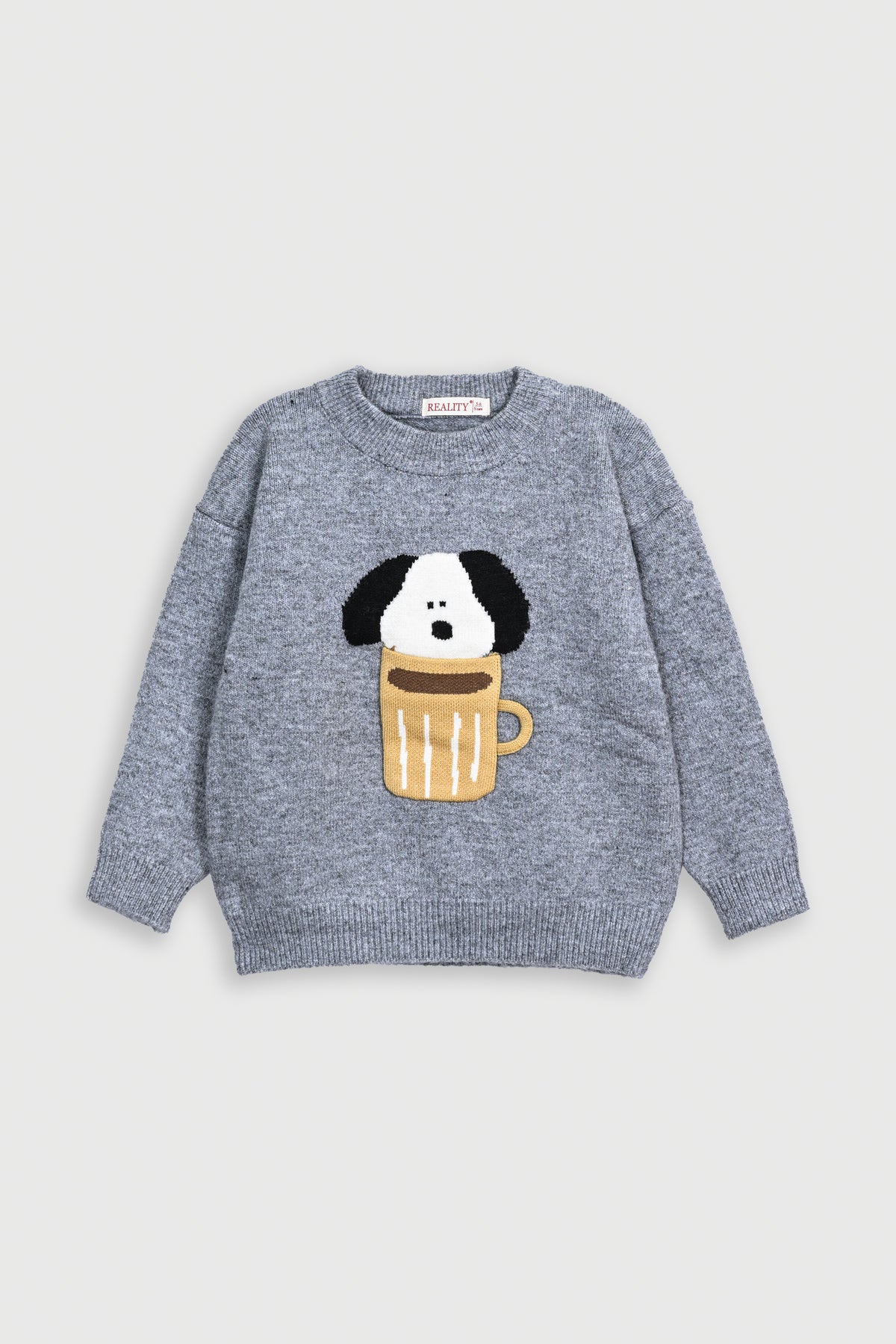 GIRL'S GRAY SWEATER Reality