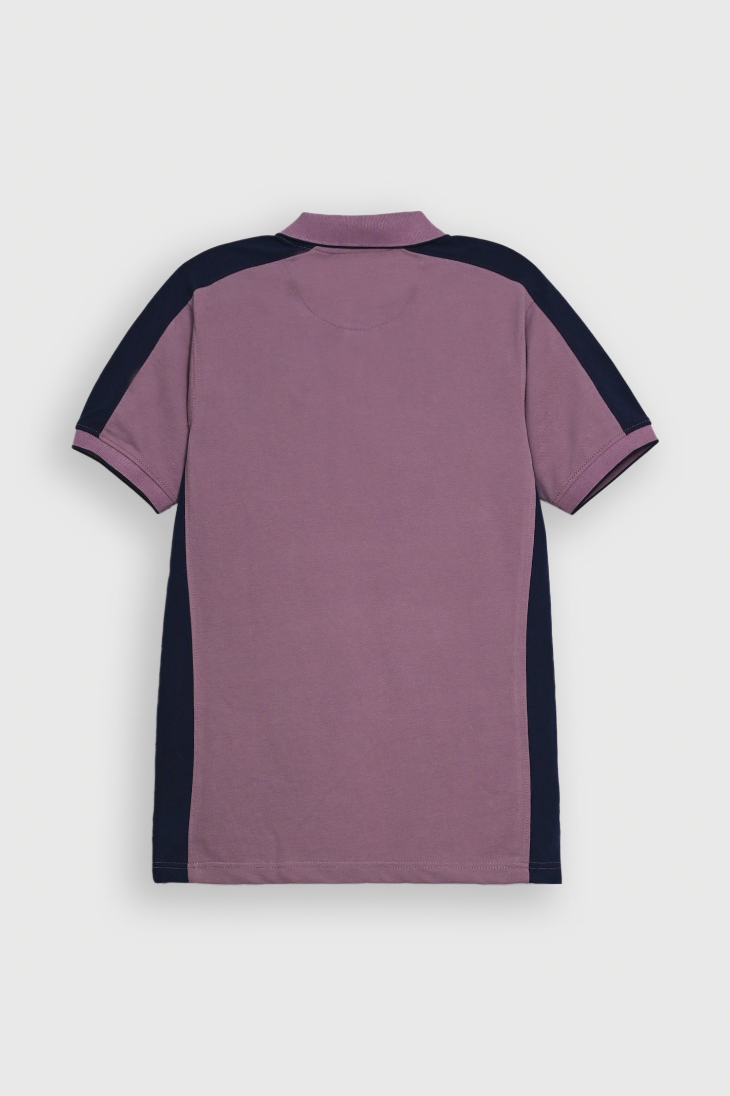 PANEL PURPLE POLO