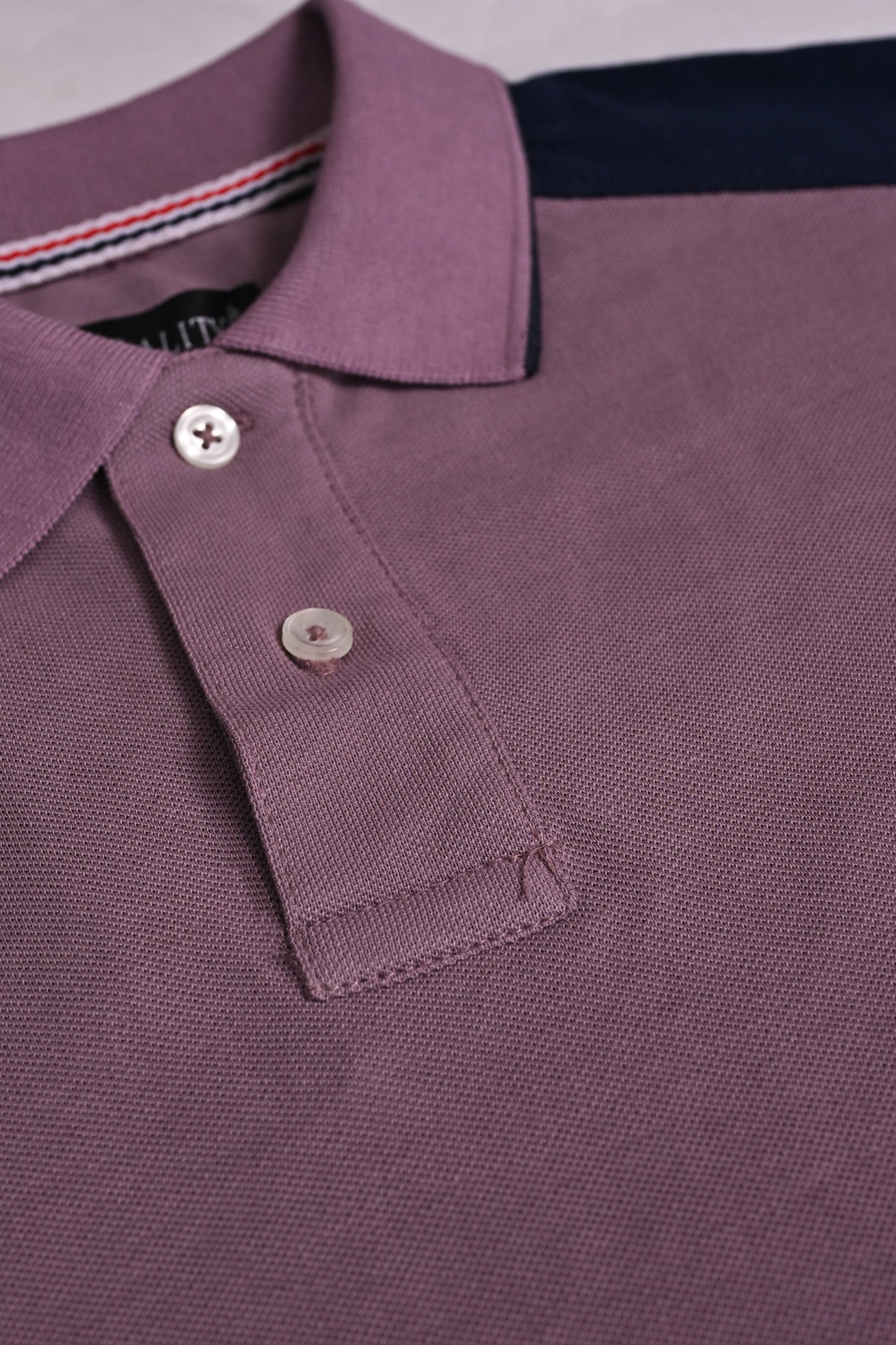 PANEL PURPLE POLO