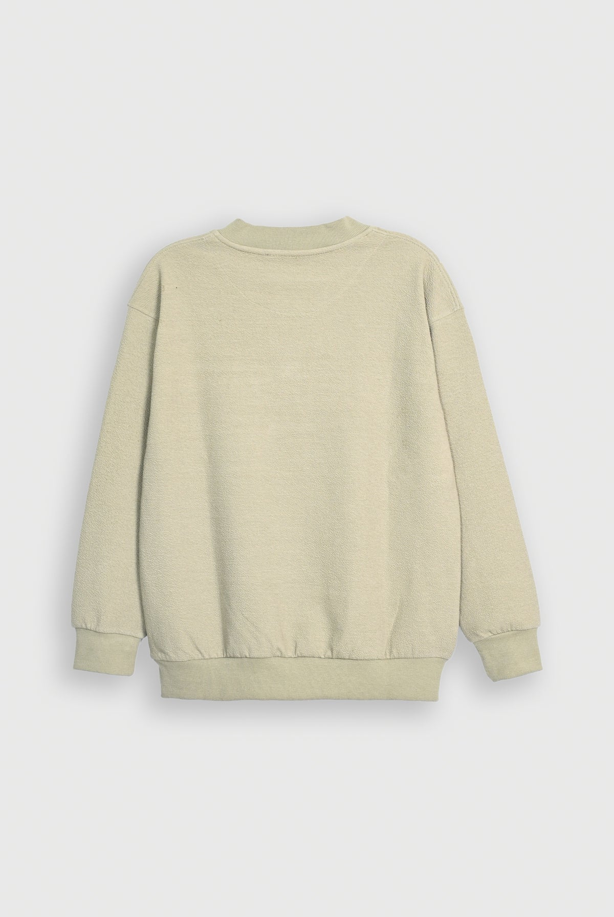 TEXTURED LIGHT GREEN SWEATSHIRT