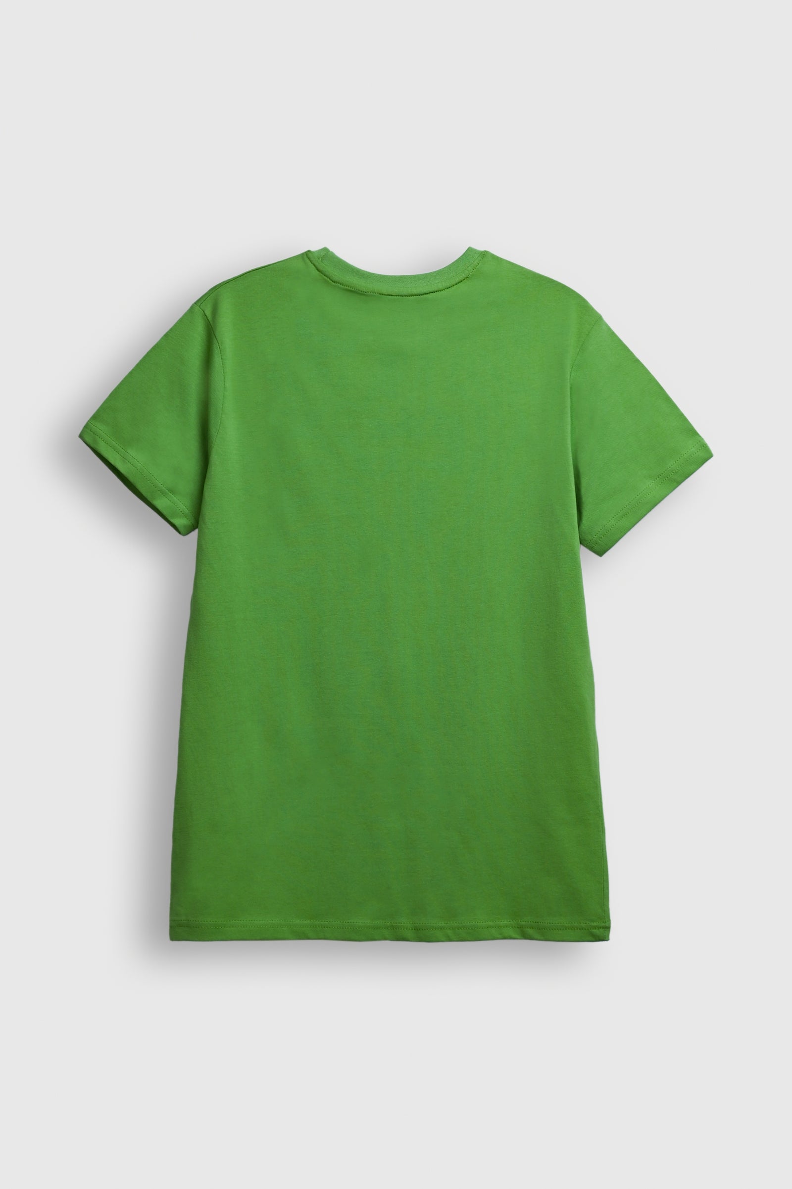 PARADISE Graphic T-Shirt – Green Reality