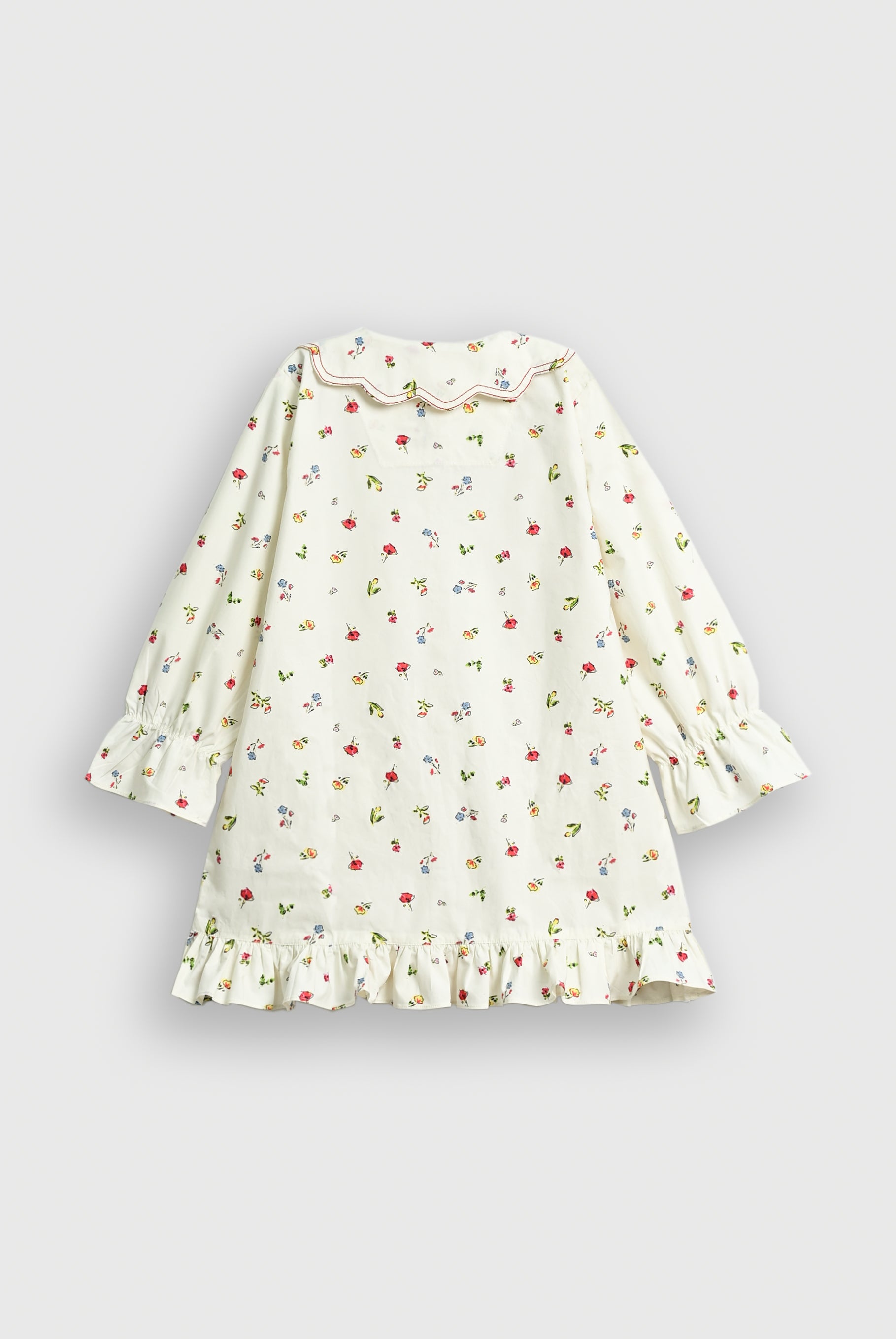 POCKET PAWS AND PETALS Reality