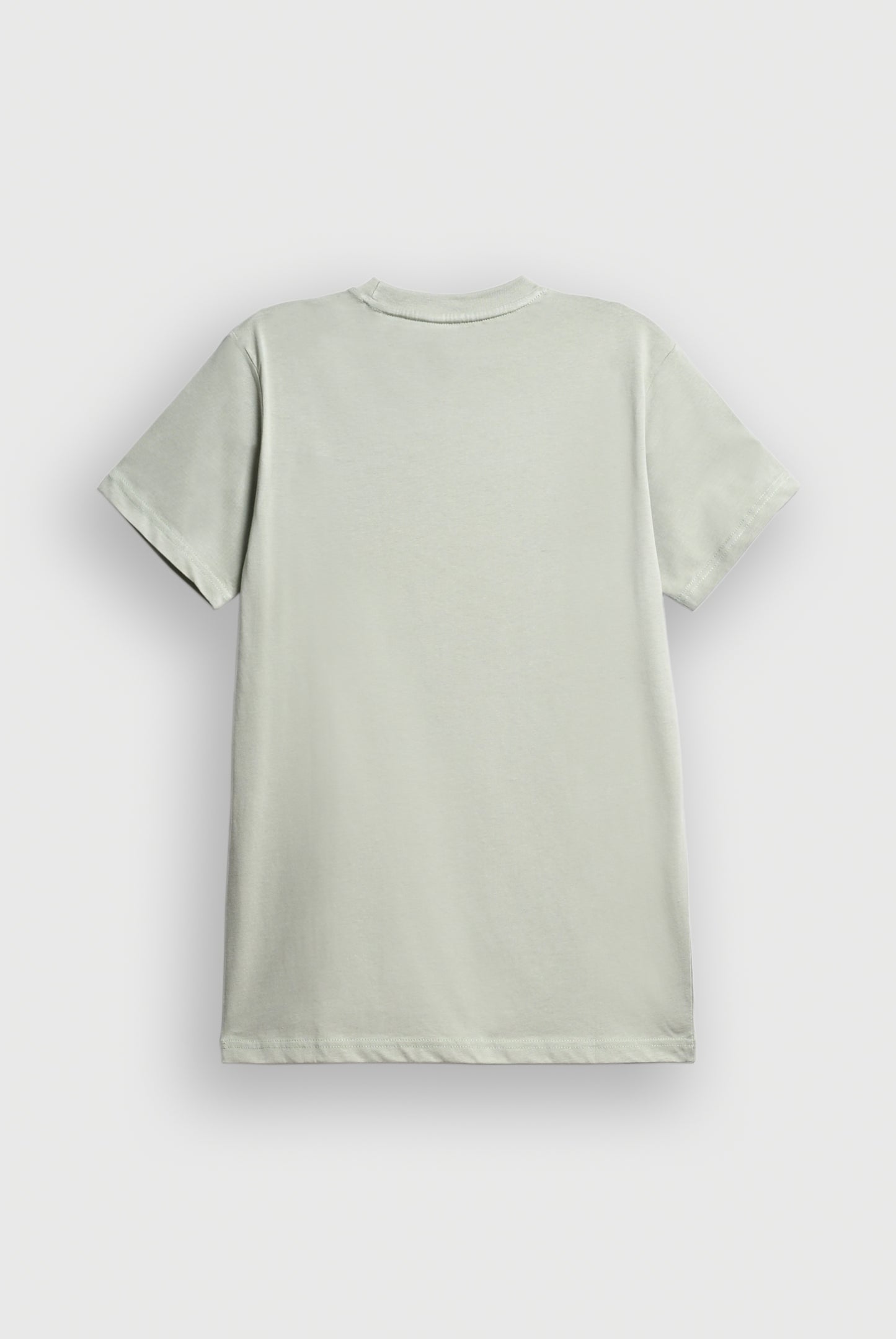 MEN LIGHT GREEN T-SHIRT Reality