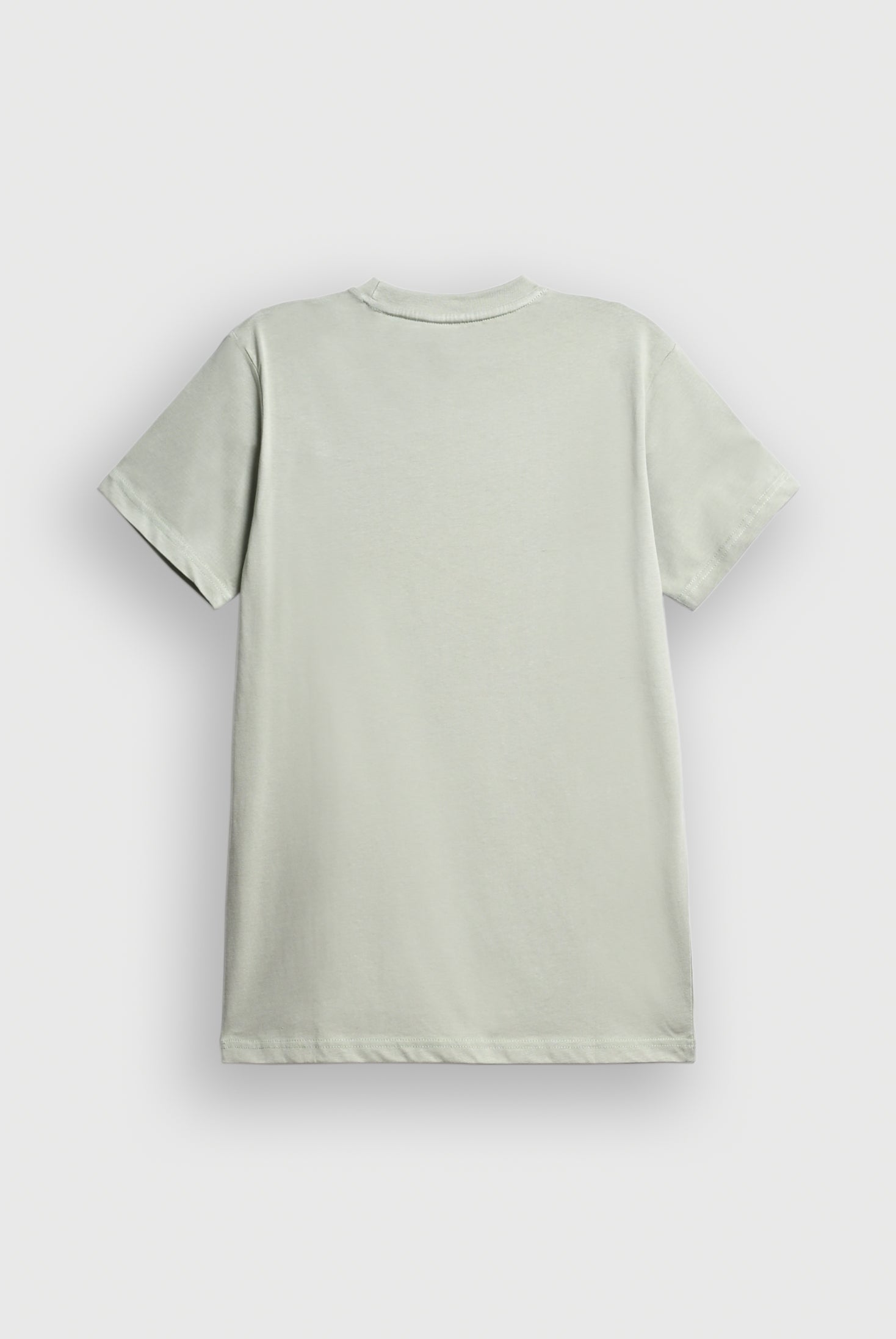 MEN LIGHT GREEN T-SHIRT Reality