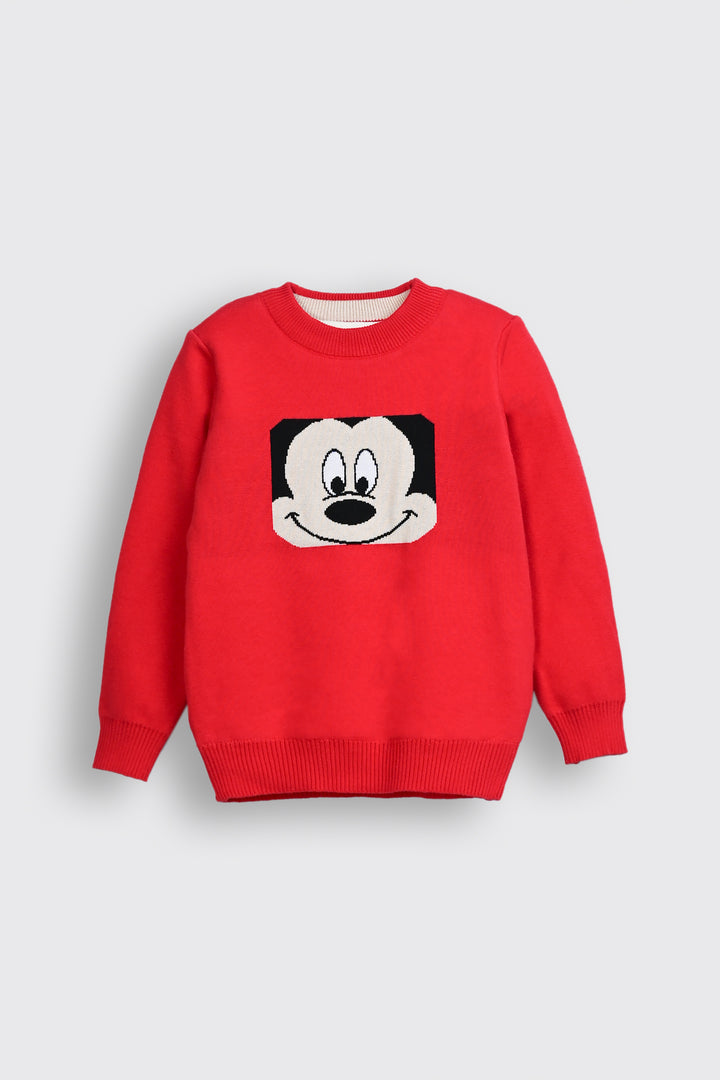 BOYS SWEATER Reality