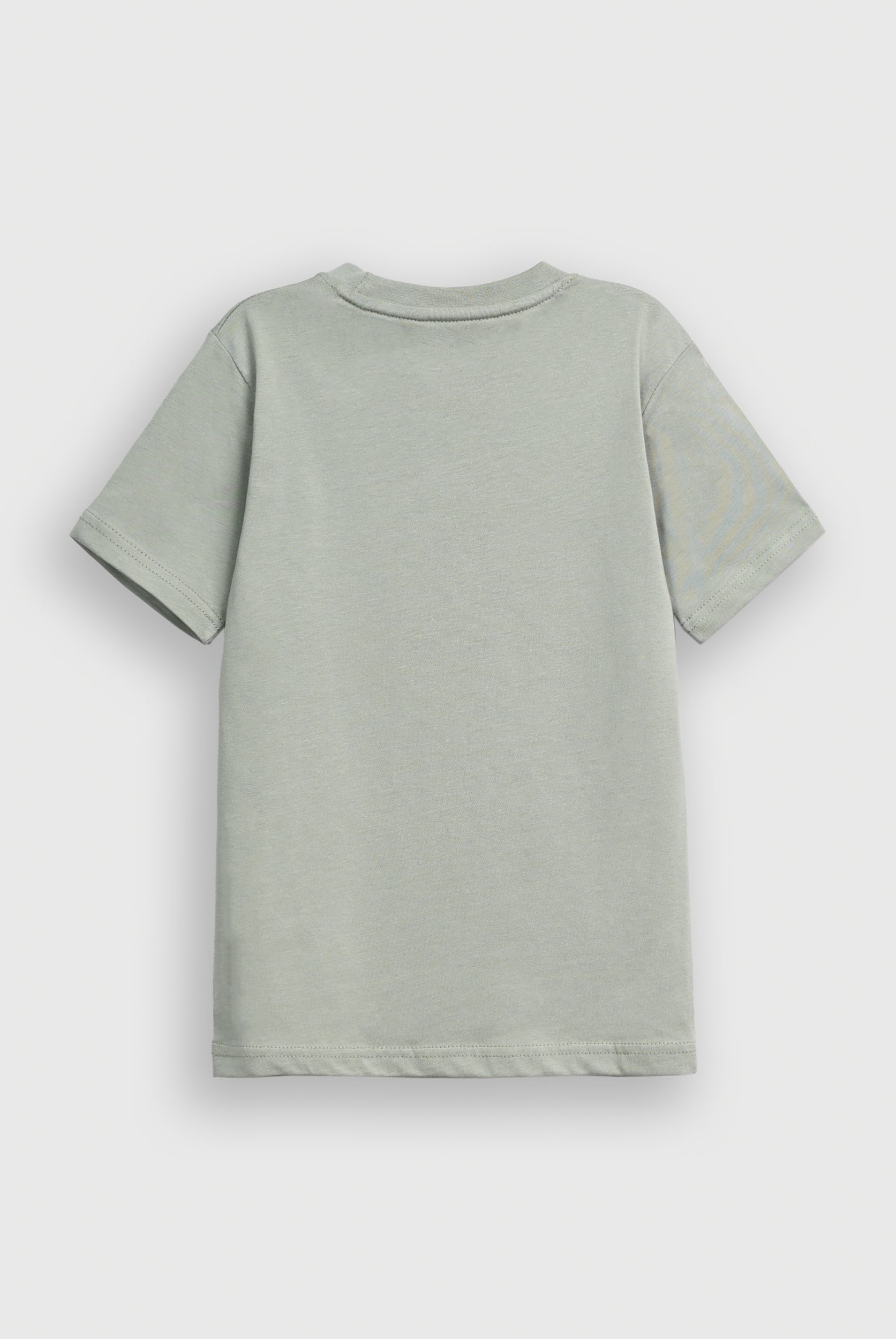 Boys LIGHT GREENT-SHIRT Reality