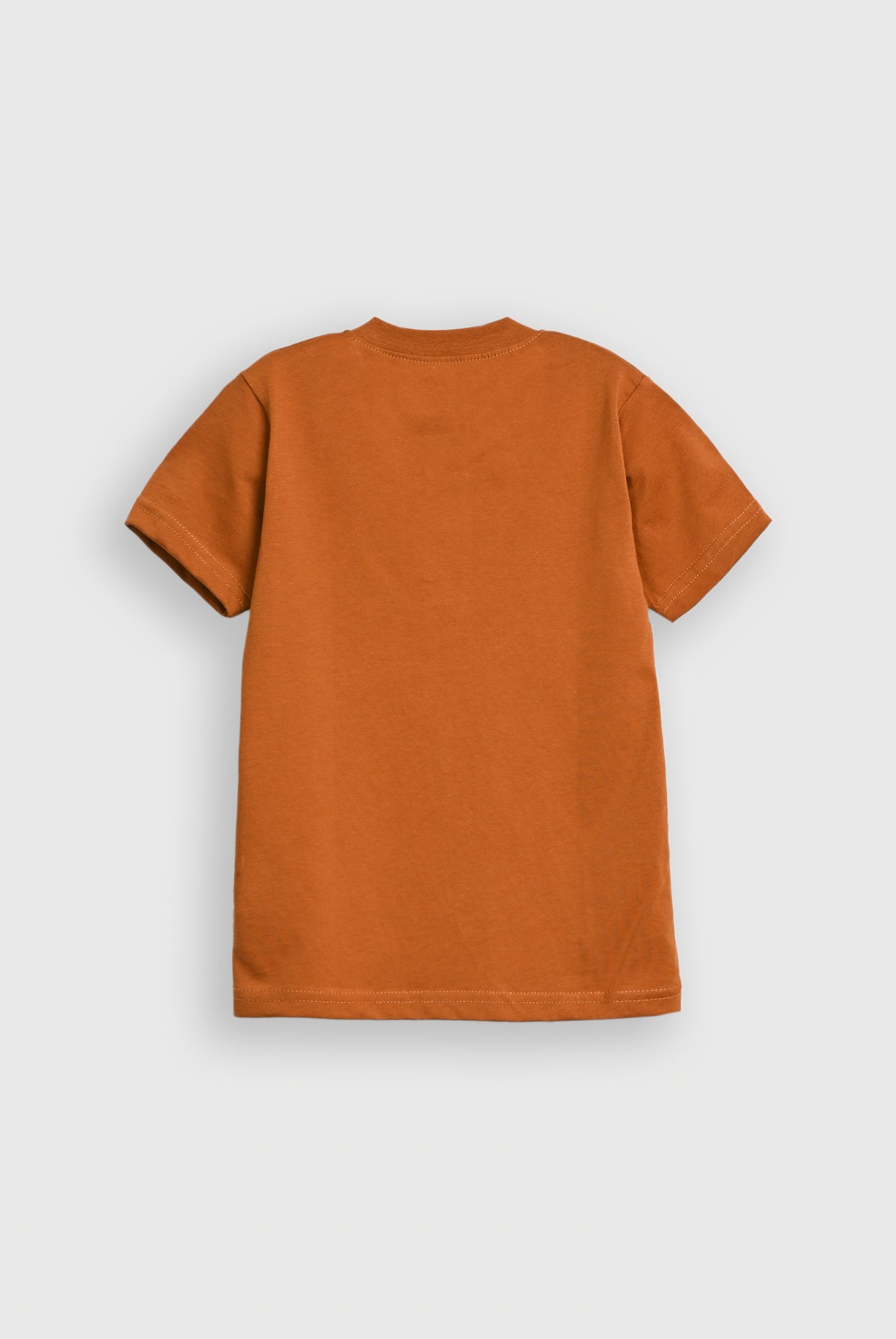 Boys BROWN T-SHIRT Reality