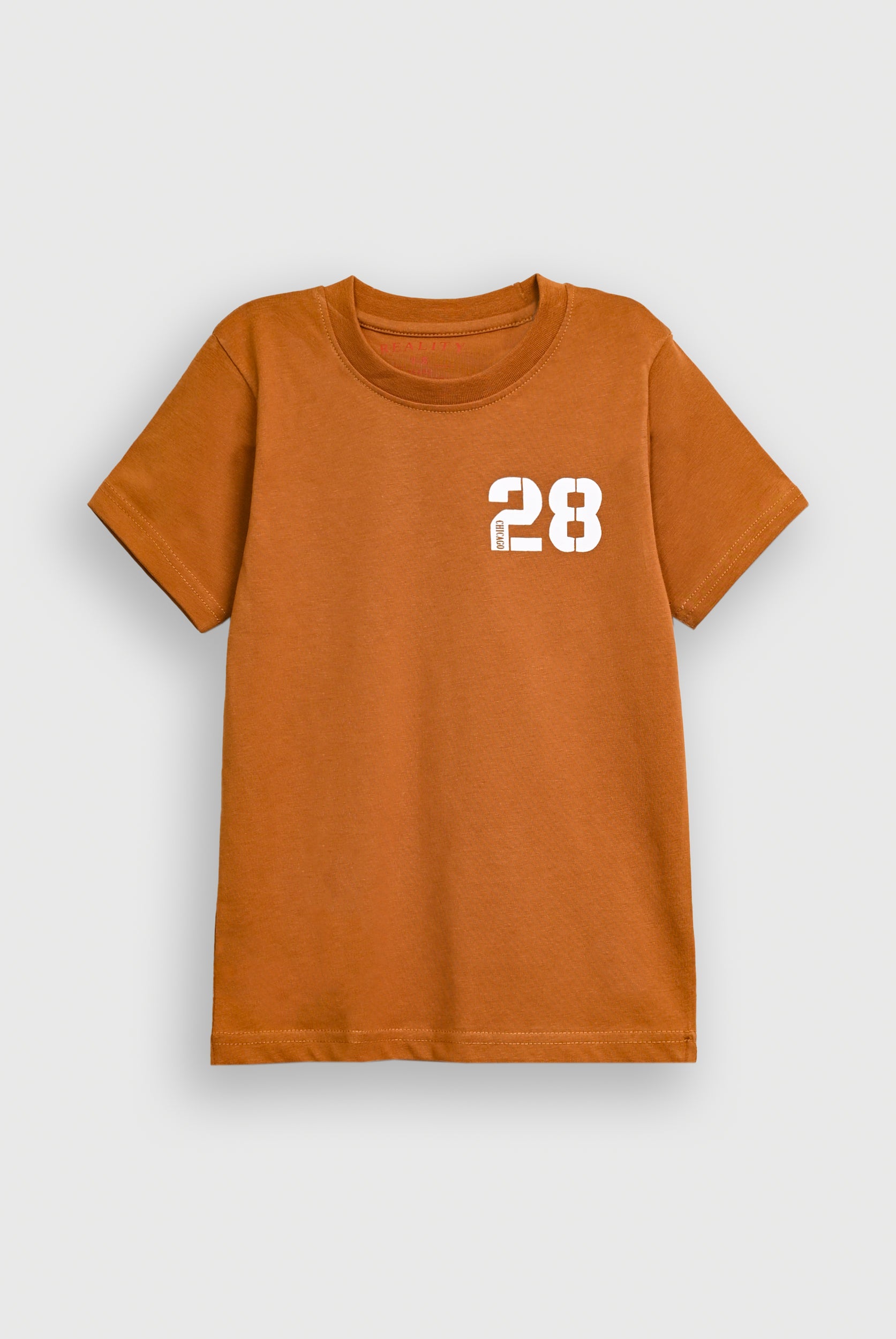 Boys BROWN T-SHIRT Reality
