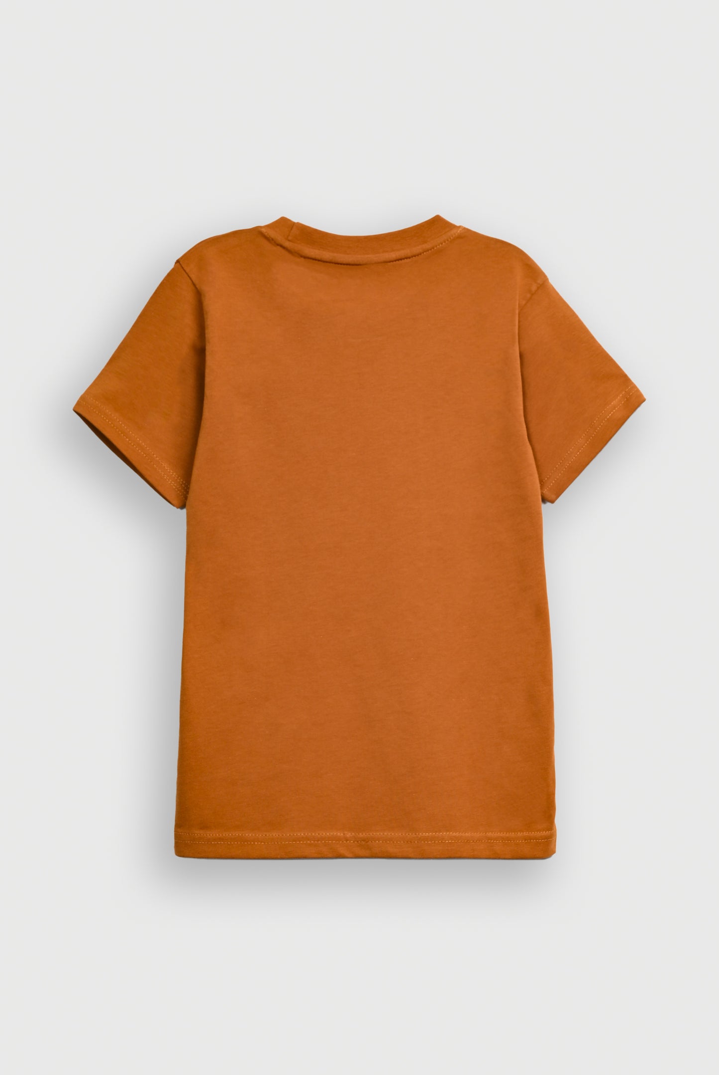 Boys BROWN T-SHIRT Reality