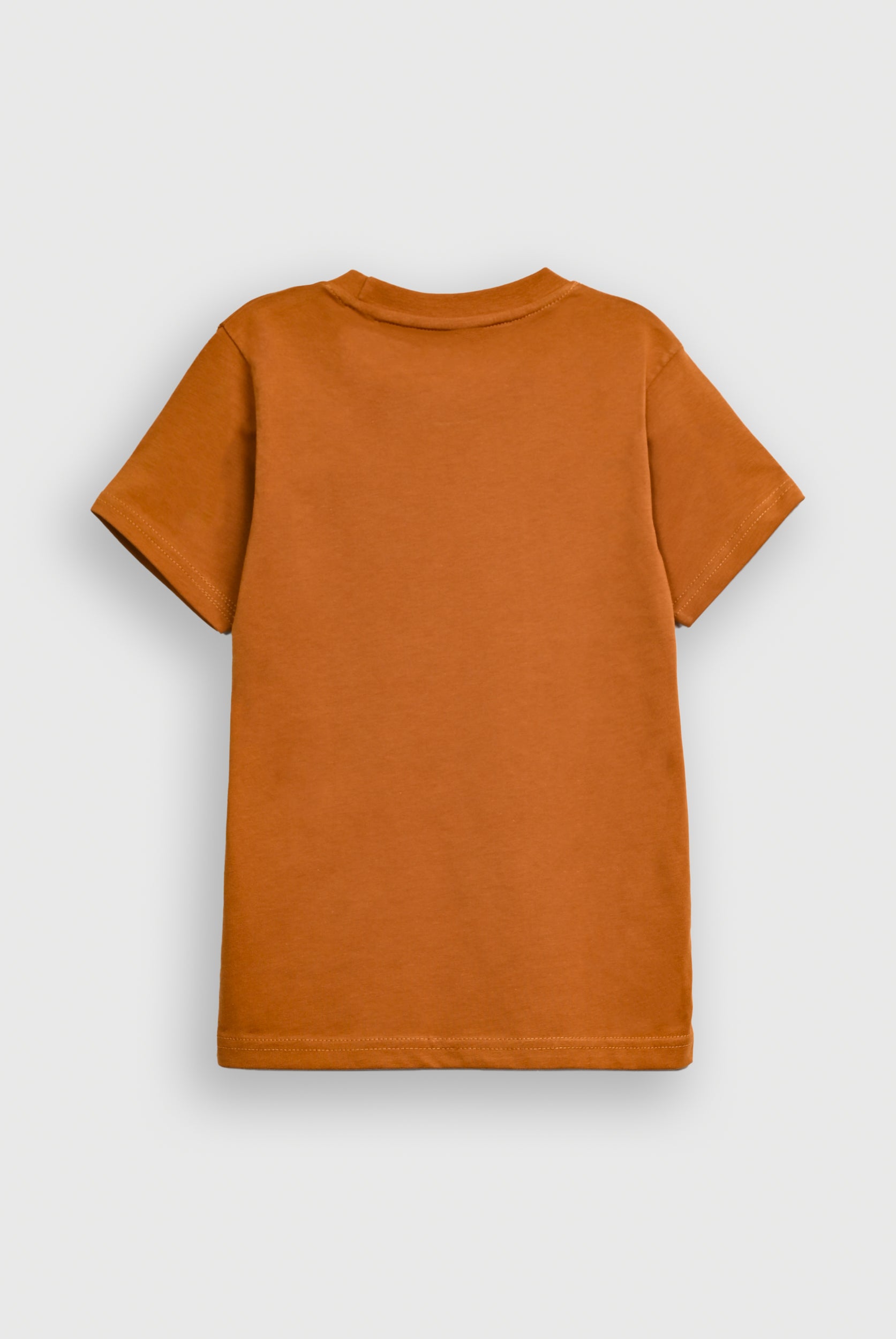 Boys BROWN T-SHIRT Reality