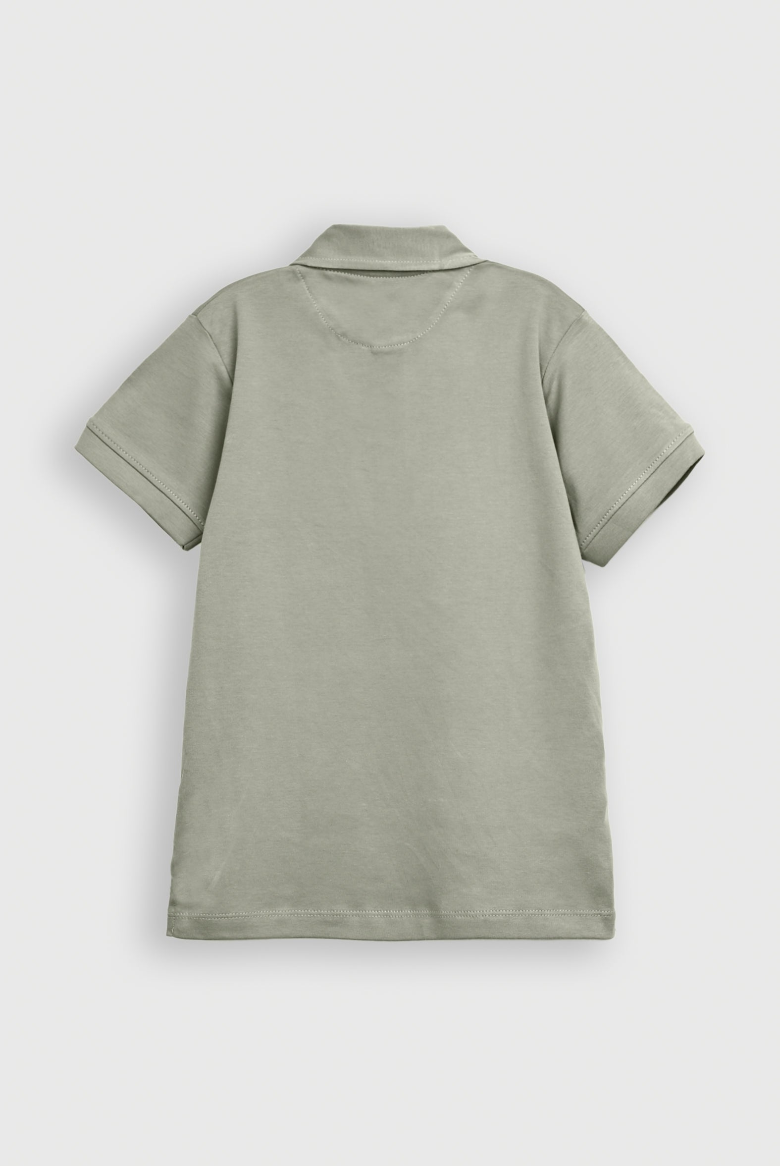 IMPORTED LIGHT GREEN POLO Reality