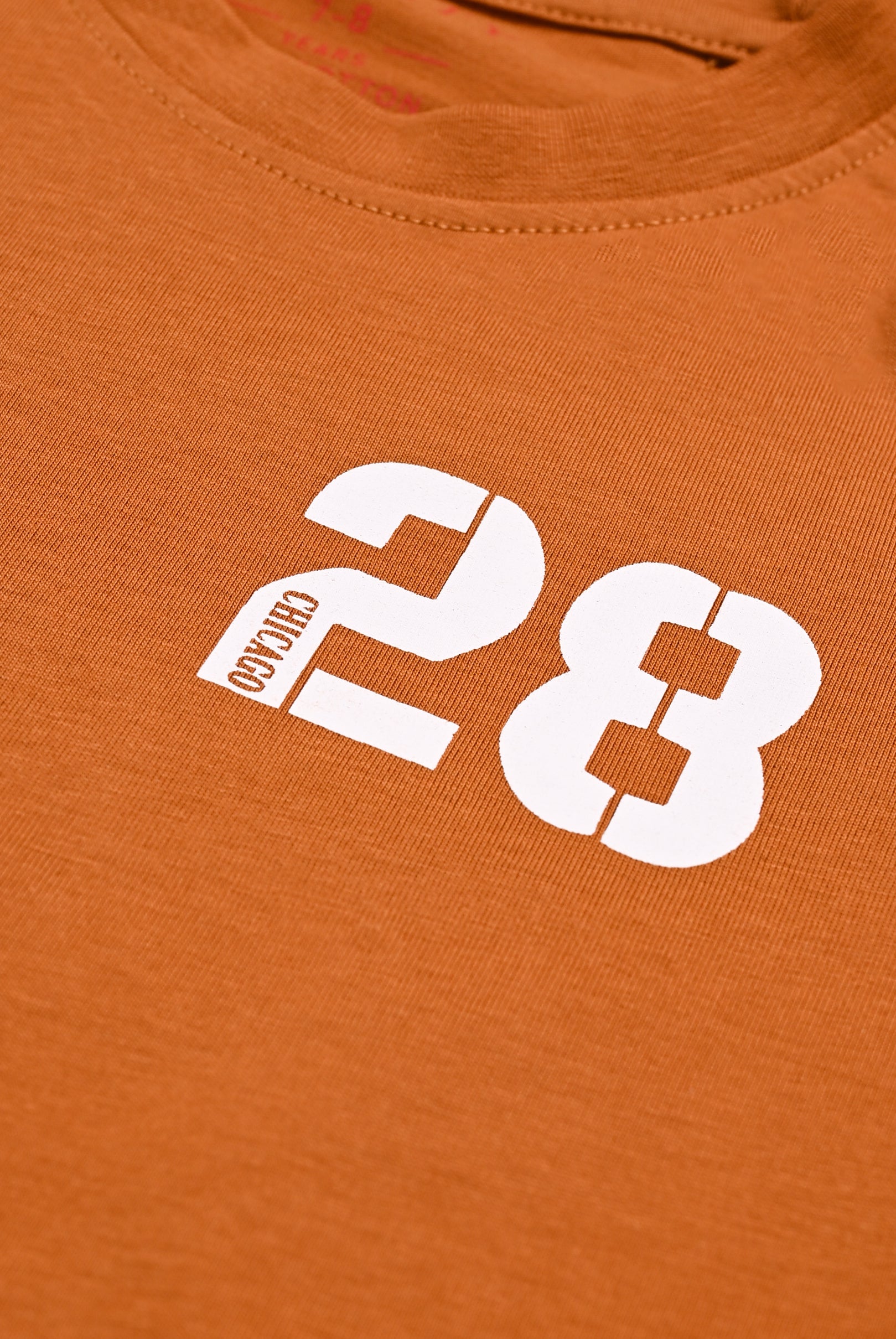Boys BROWN T-SHIRT Reality