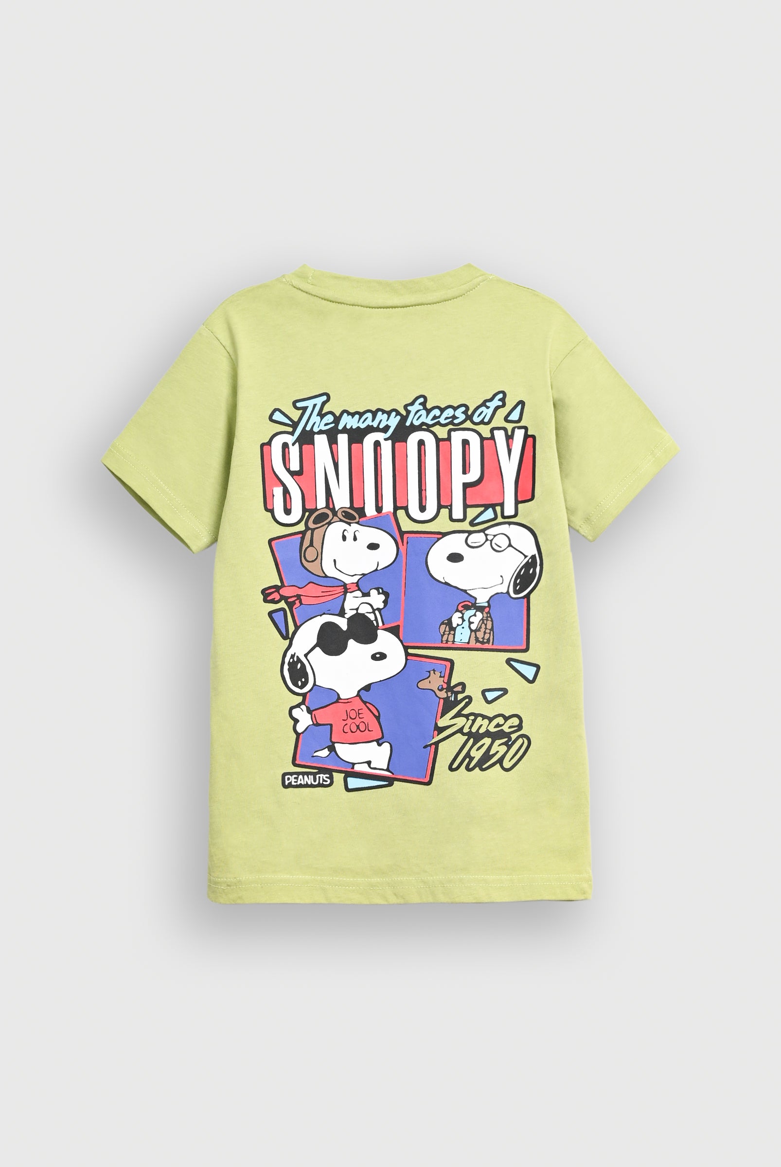 Boys PARROT T-SHIRT Reality