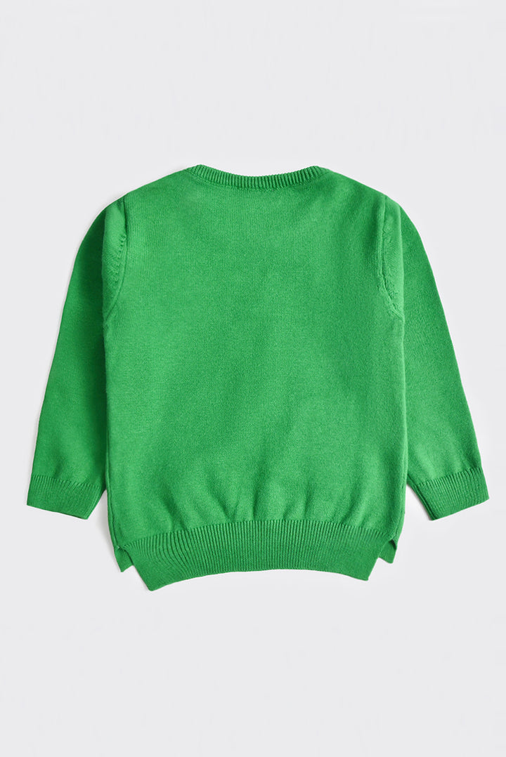 Boys Green Raglan Sweater - Reality