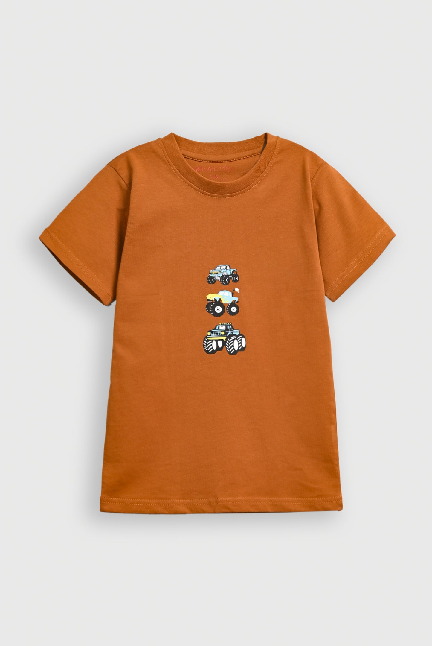 Boys BROWN T-SHIRT Reality