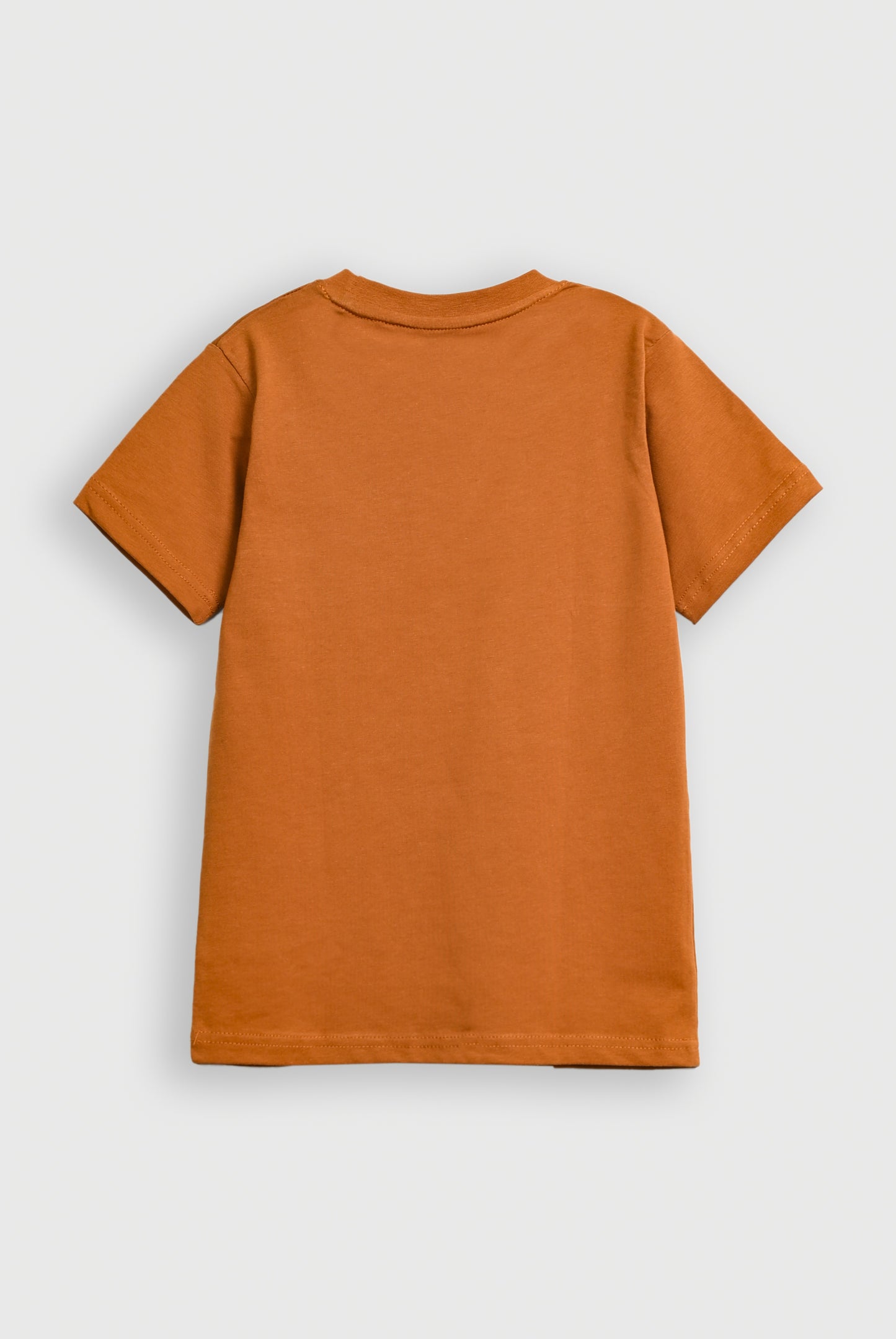 Boys BROWN T-SHIRT Reality