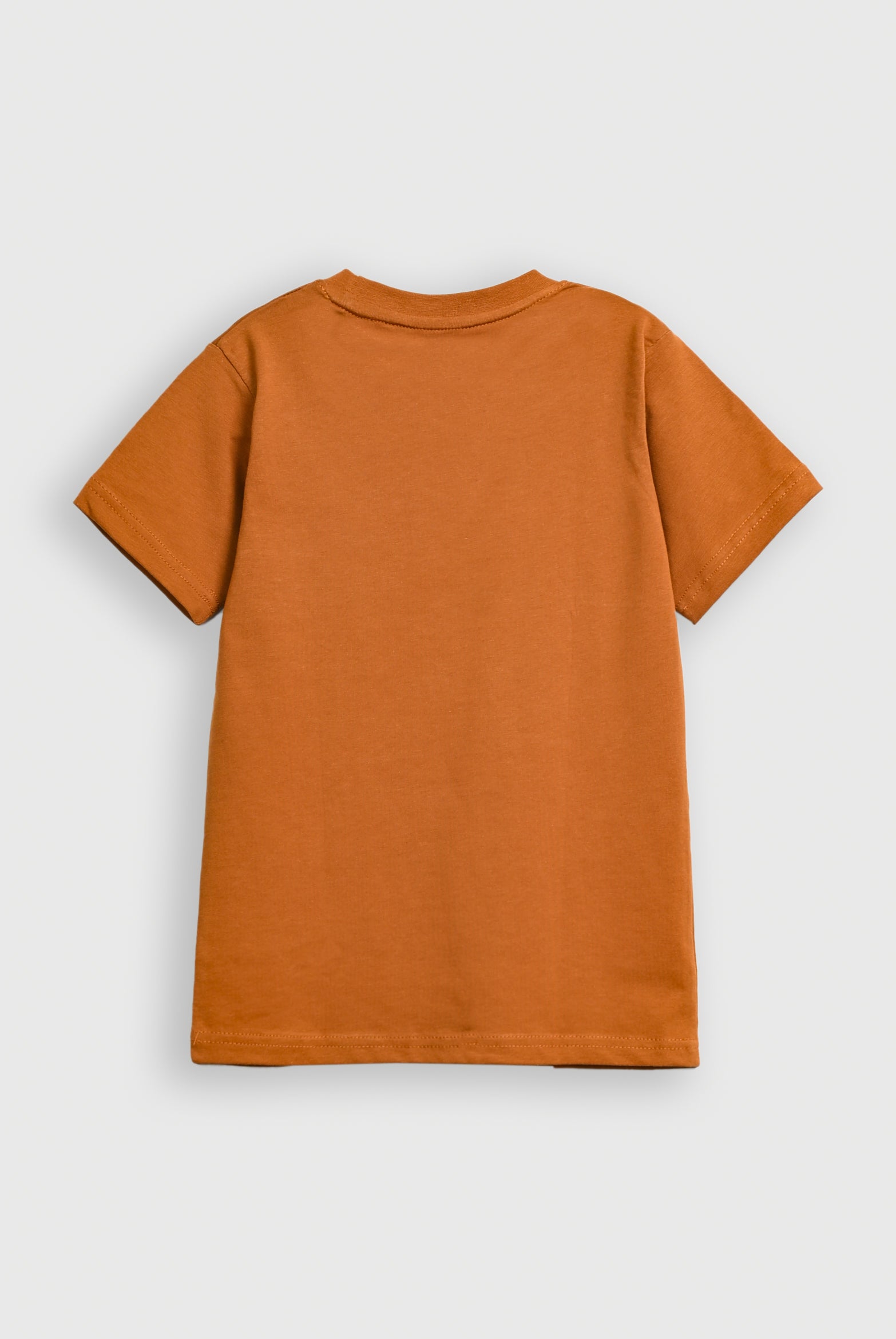 Boys BROWN T-SHIRT