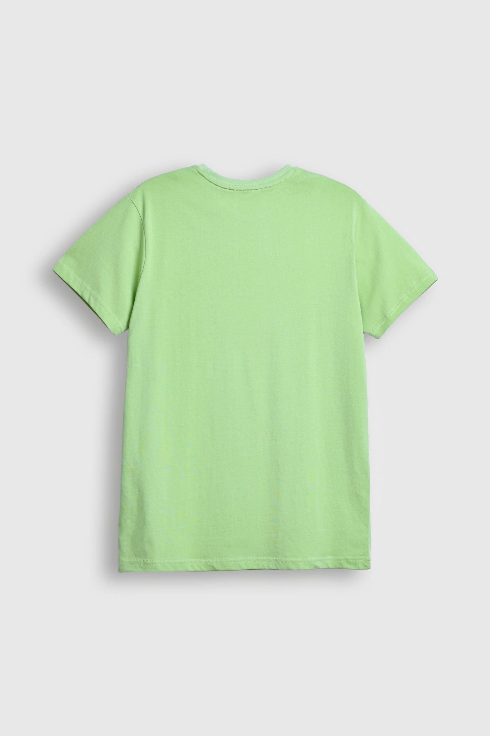 Believe in Yourself Graphic T-Shirt – Light Green Reality