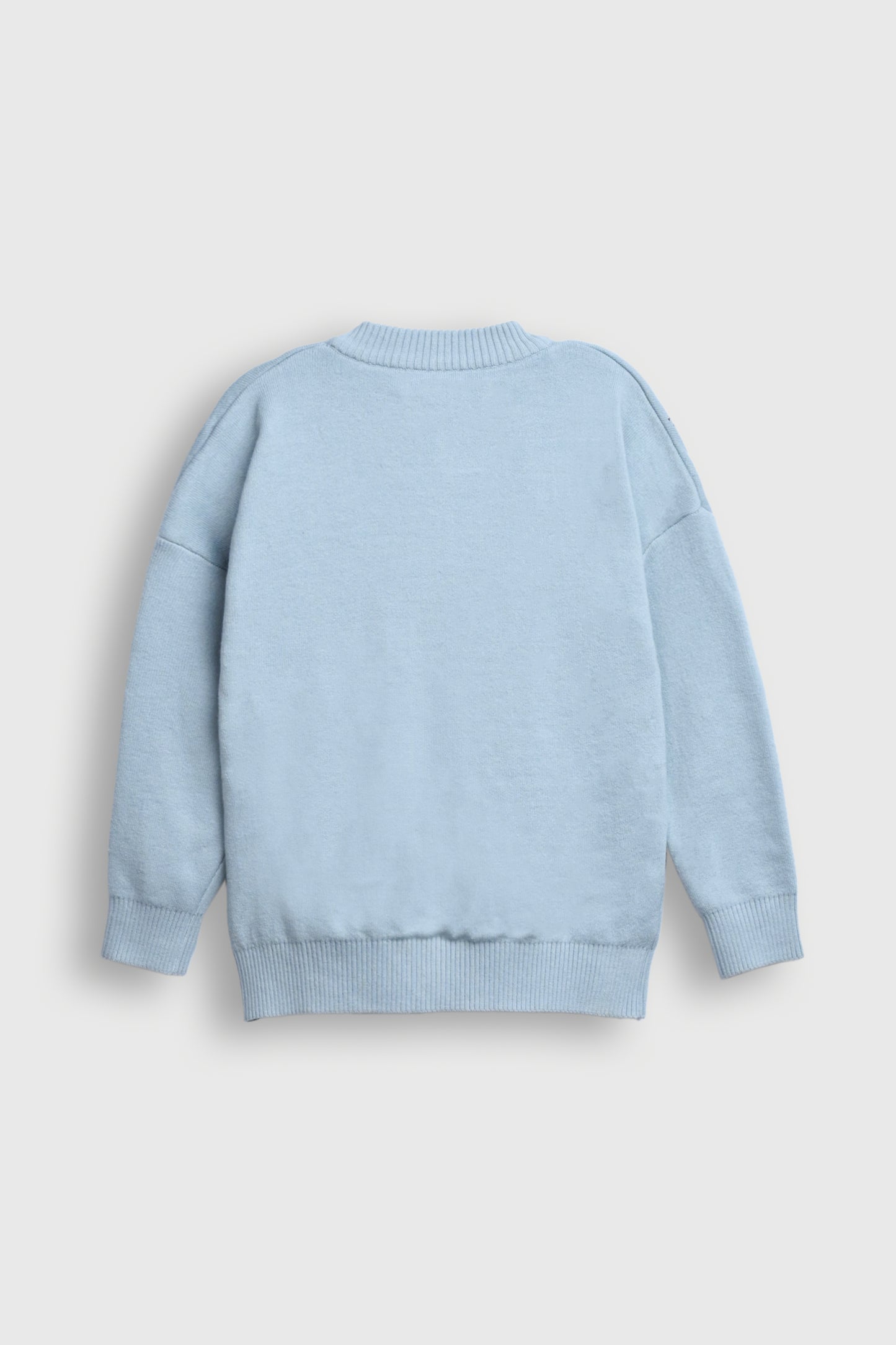 Pastel Blue Sweater with Embroidered Flowers Reality